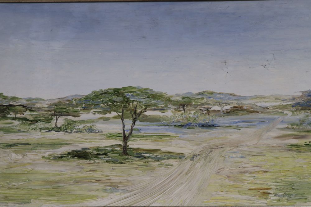 Peter C. Tonkin, oil on board, Ethiopian landscape, initialled and inscribed verso, 34 x 67cm